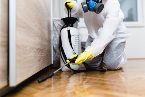 Best Rat Extermination Near Me  in Roslyn Estates, NY