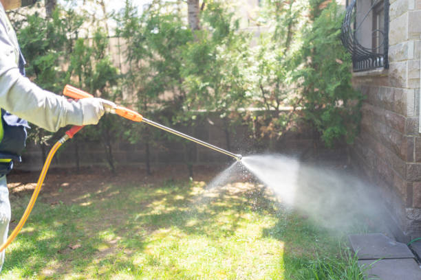 Pest Prevention Services in Roslyn Estates, NY