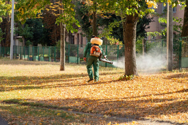 Best Wasp Removal Services  in Roslyn Estates, NY