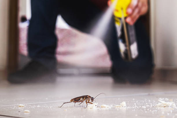 Best Wildlife Control Services  in Roslyn Estates, NY