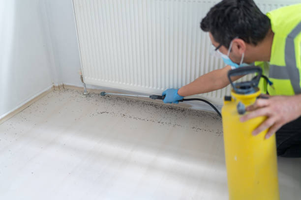 Best Pest Prevention Services  in Roslyn Estates, NY